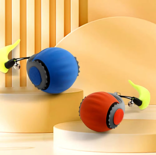 🐈Schneller Ball - Interaktives Katzenspielzeug